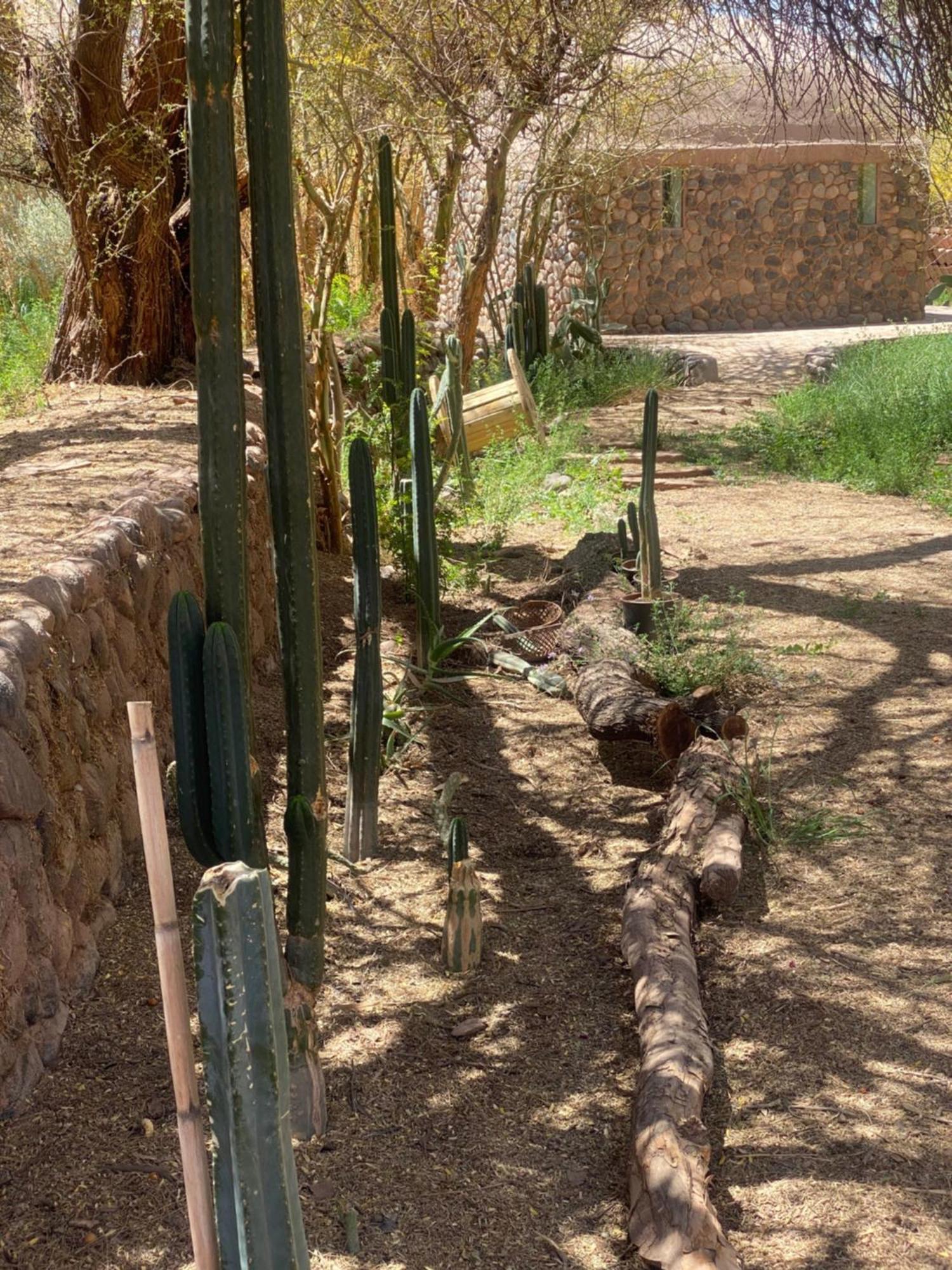Casa Luna San Pedro de Atacama Exterior foto